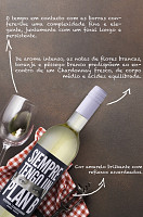 SIEMPRE TENGO UN PLAN B RESERVA CHARDONNAY