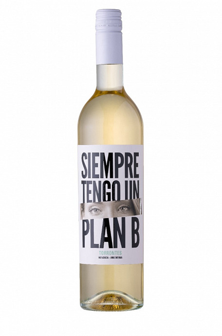 SIEMPRE TENGO UN PLAN B TORRONTES